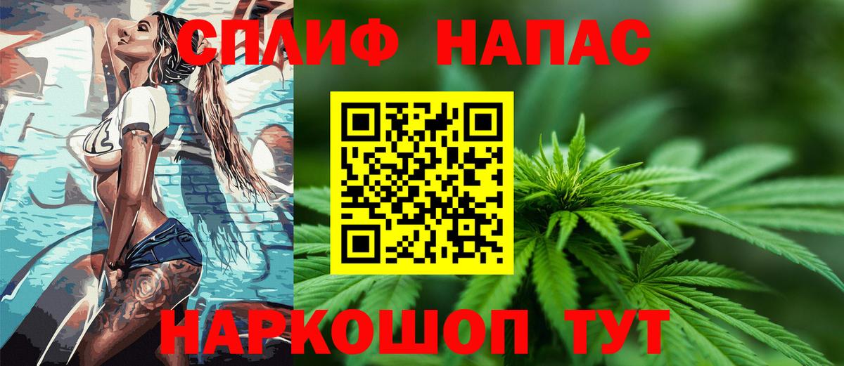 Каннабис планчик  Вход с VPN  Каннабис ГИДРОПОН  Элиста 